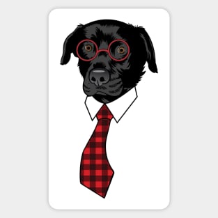 Dog in Disguise Sticker